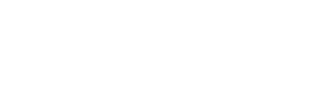 News 12 The Bronx